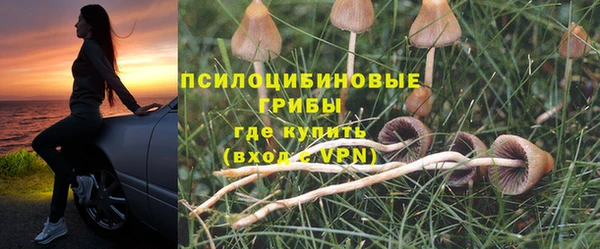 MESCALINE Баксан